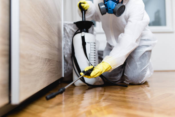 Best Pest Removal Services  in Henderson, TN