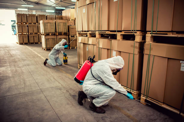 Best Rat Extermination Near Me  in Henderson, TN