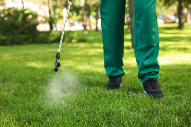 Professional Pest Control in Henderson, TN