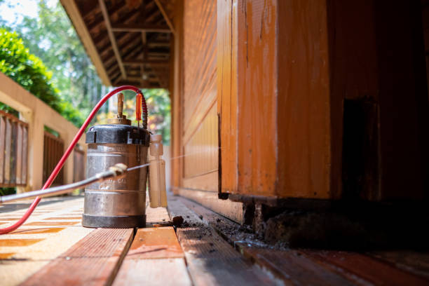 Best Pest Prevention Services  in Henderson, TN
