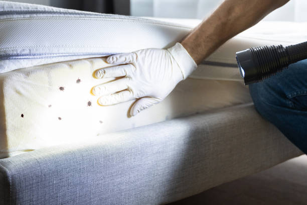 Best Bed Bug Extermination  in Henderson, TN