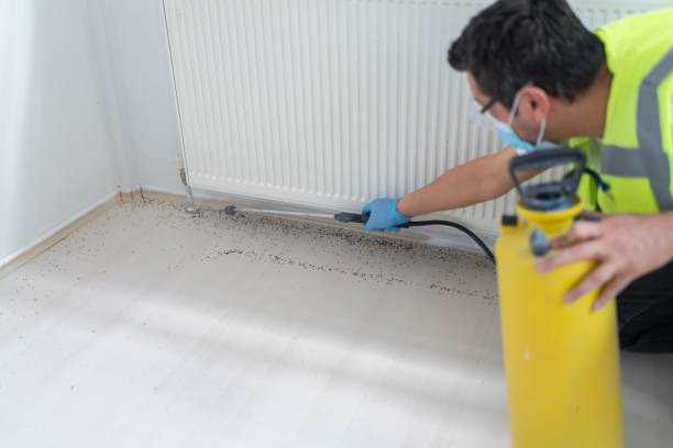 Best Pest Inspection Near Me  in Henderson, TN